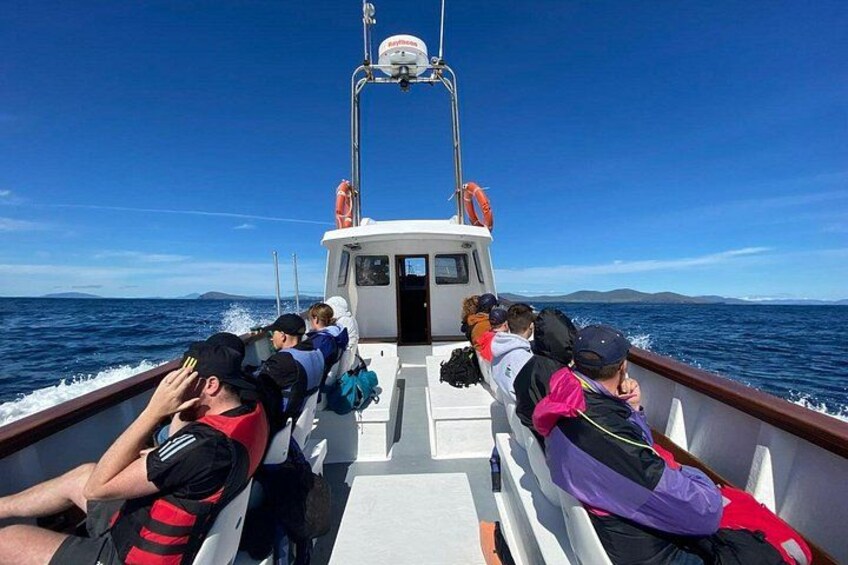 Unforgettable Skellig Michael Boat Tour 5