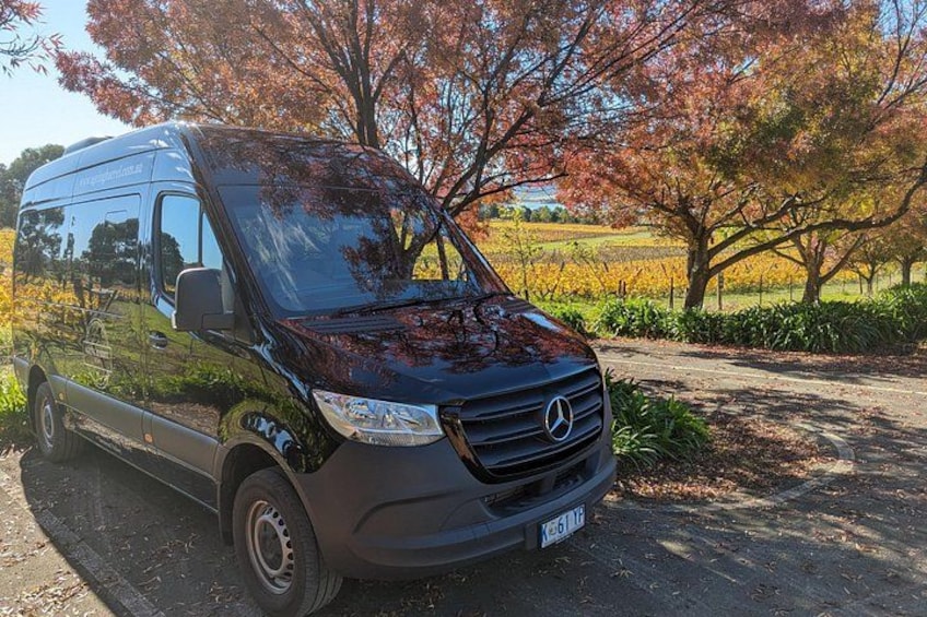 A black Mercedes van parked on a dirt road with trees and a field in the background. 5