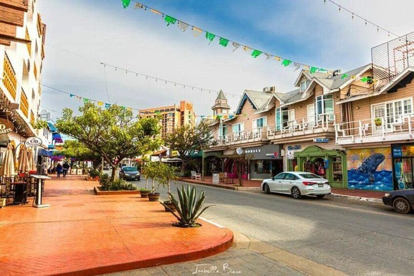 Best Sites: Blowhole+ City Tour, Tacos Custom Shore Excurison 1