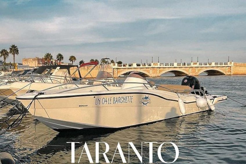 Un bateau baptisé « LM 04 LE BARCHETTE » était amarré dans une marina, avec un pont en arrière-plan. 4