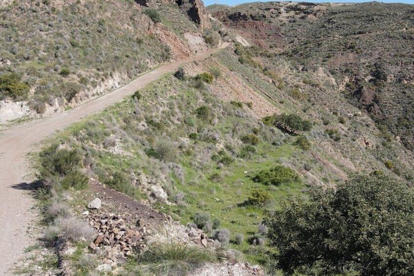 Mojarcar Jeep Safari & Spanish Tapas Adventure in Bedar Mountains 5