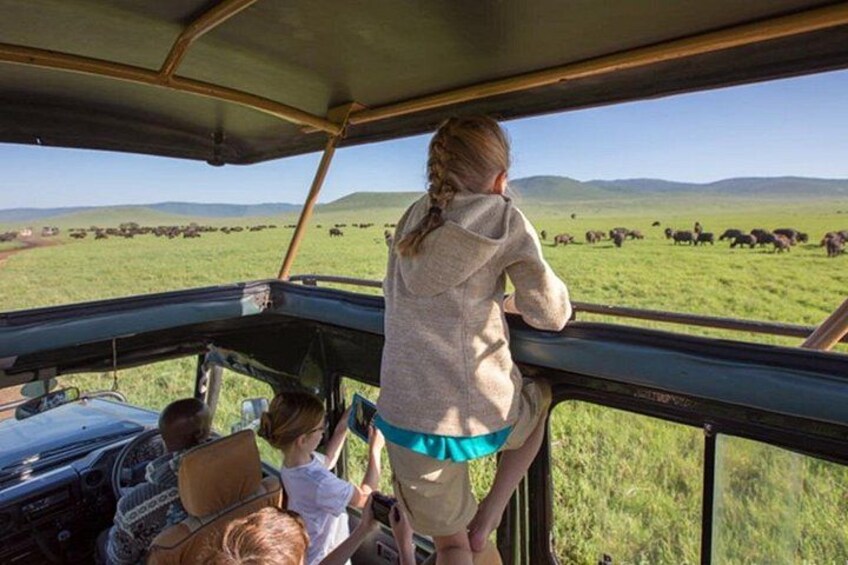 4 Days Masai Mara and Lake Nakuru 4X4 Jeep Camping Safari 3