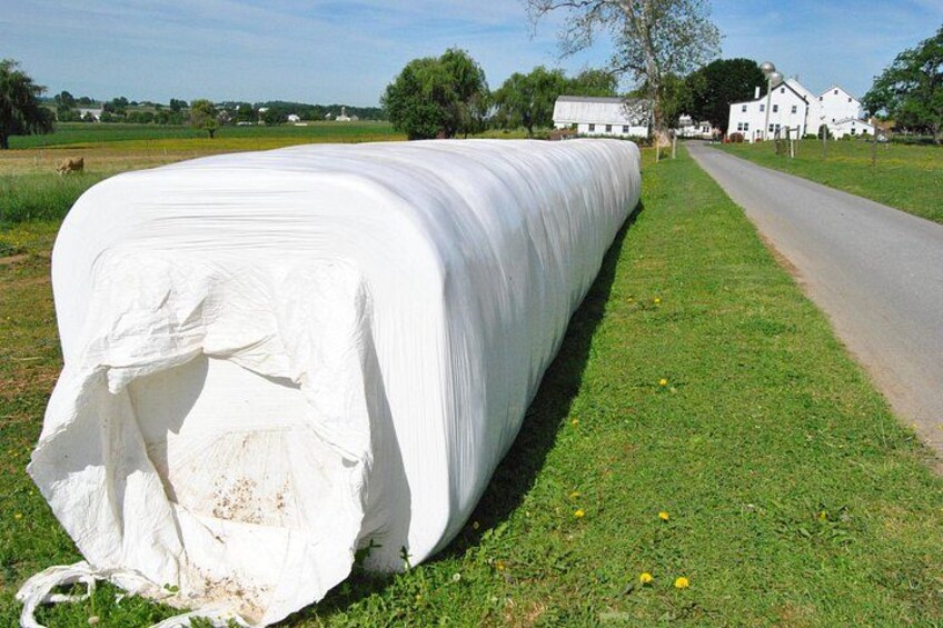 Amish Farmlands Tour 2
