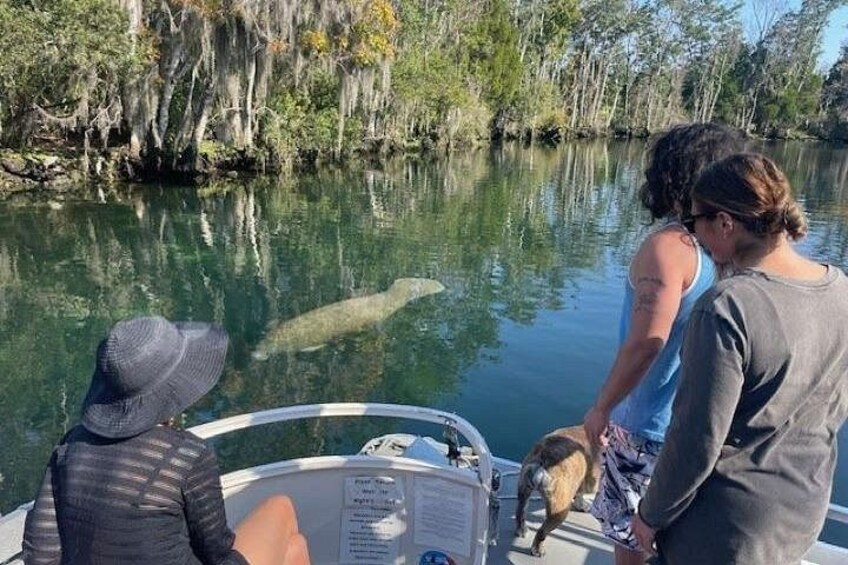 Family Eco Tour enjoying the abundant wildlife in Crystal River 1