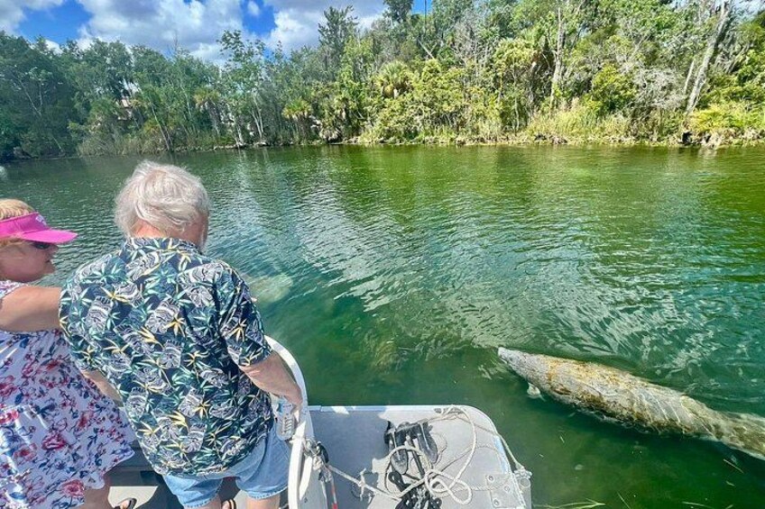 Our Eco Tours are fun for all ages! 5