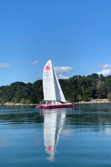 Picture 2 for Activity Bay of Quiberon or Morbihan gulf: Evening 2 hours navigation