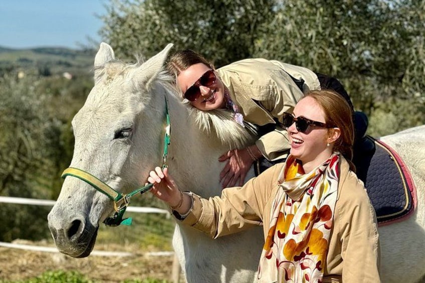 A person interacting with a white horse in an outdoor setting with trees and a fence. 4