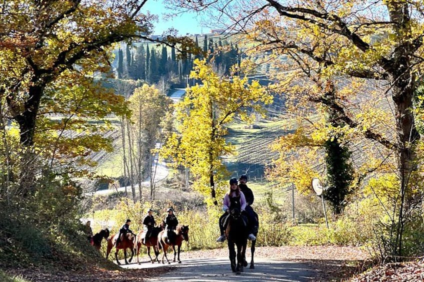 A group of people riding horses on a road surrounded by trees and hills. 3