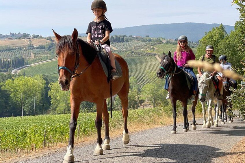 A group of people riding horses on a road with vineyards in the background. 1