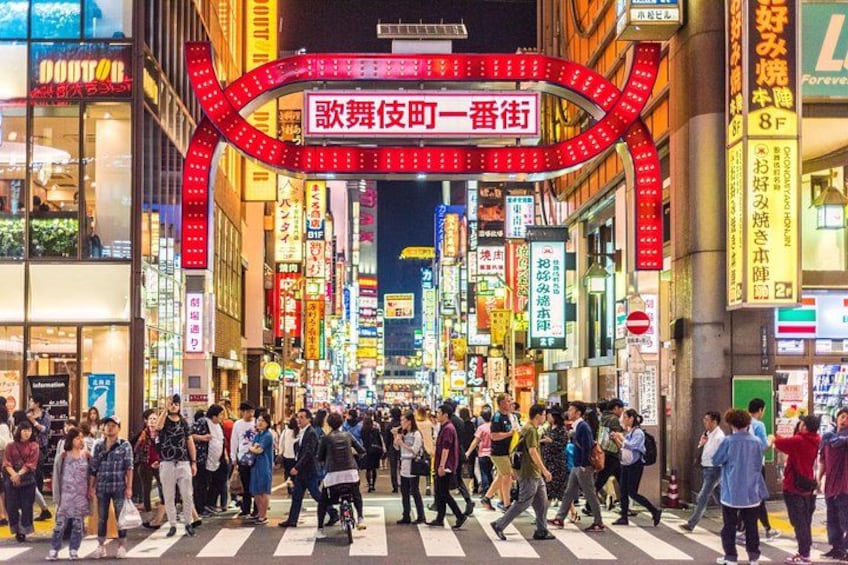 Tokyo Private Group Tour – Flexible Schedule and Stops 2