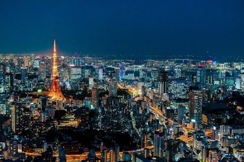 Tokyo Private Group Tour – Flexible Schedule and Stops 4