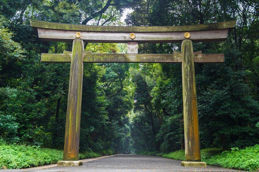 Tokyo Private Group Tour – Flexible Schedule and Stops 3