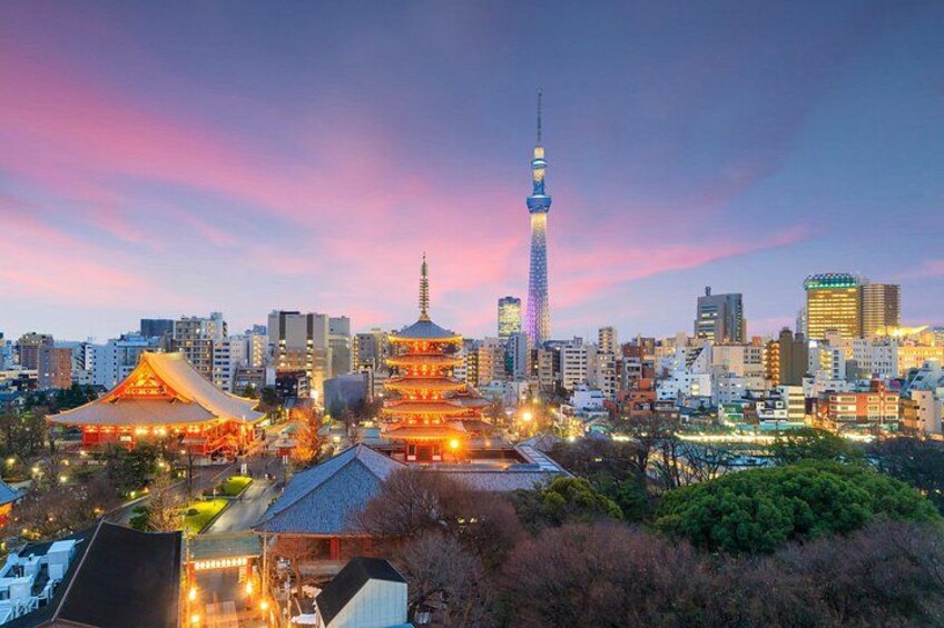 Tokyo Private Group Tour – Flexible Schedule and Stops 1