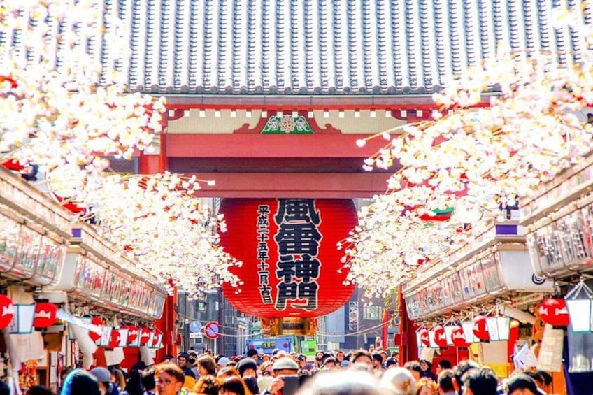 Tokyo Private Group Tour – Flexible Schedule and Stops 5