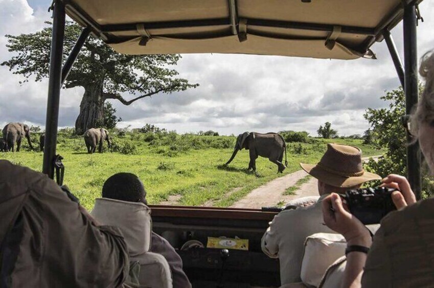  10-Days Fantastic Kenya Wildlife Private Safari 1