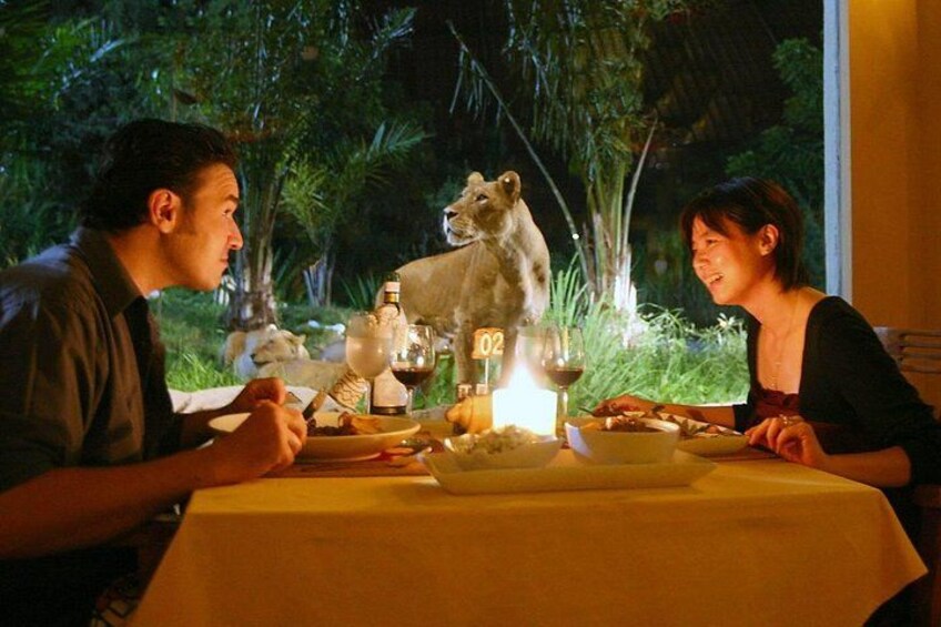 A dining table with a candle, a wine glass, and a stuffed animal. 5