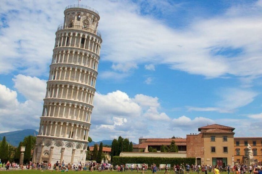Pisa: The Electric Minibus Experience 5