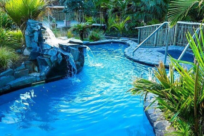 A swimming pool with a waterfall feature surrounded by tropical plants. 4
