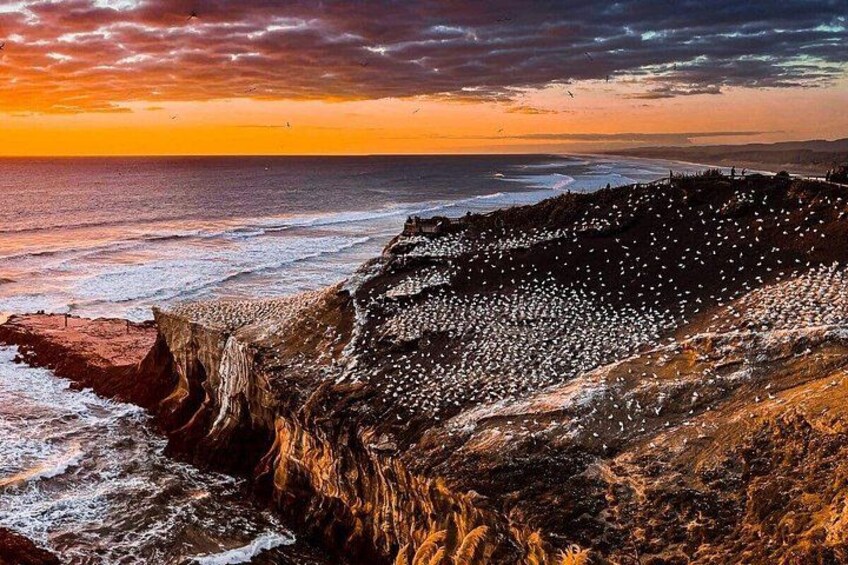 A coastal landscape with cliffs, a beach, and a sunset. 2