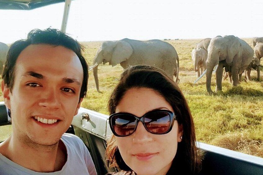 A vehicle with a person in the foreground and elephants in the background. 2