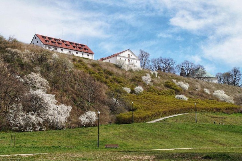 A hill with a white building with a red roof, a path, and trees. 5