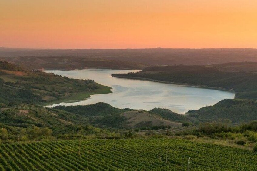 Taste the Wines of Corbara Exploring the Flavors of Umbria 3