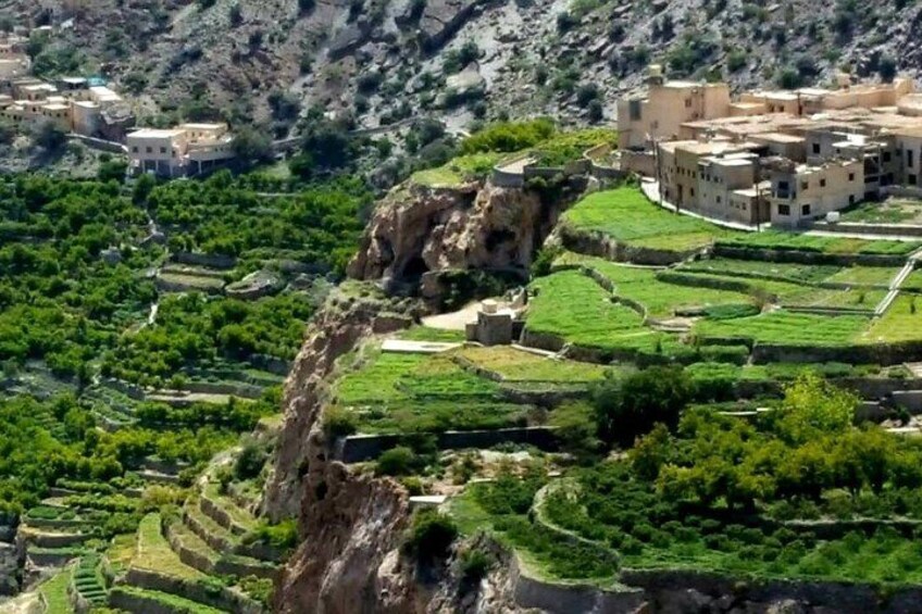Full Day Private Nizwa/Jebel Akhdar 1