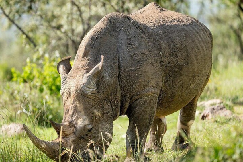 6 Days 5 Nights Budget Group Safari Experience 4