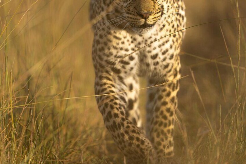 6 Days 5 Nights Budget Group Safari Experience 5
