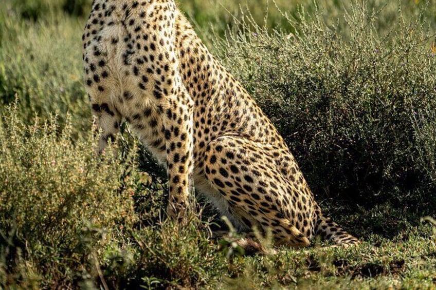 6 Days 5 Nights Budget Group Safari Experience 3