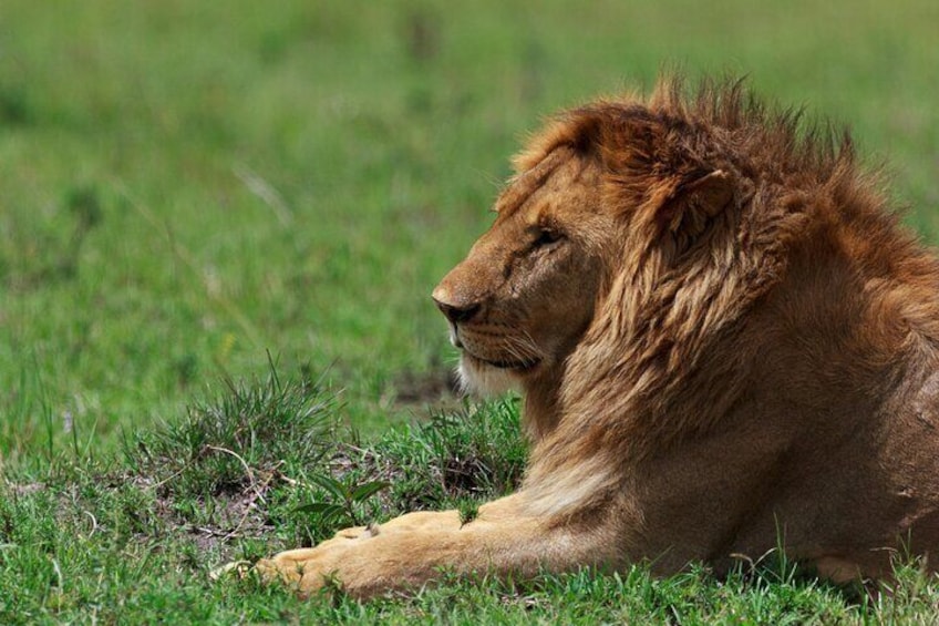 6 Days 5 Nights Budget Group Safari Experience 2
