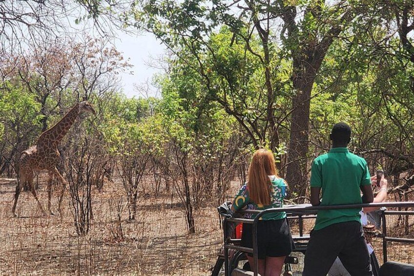 Safari at Fathala Wildlife Reserve 5
