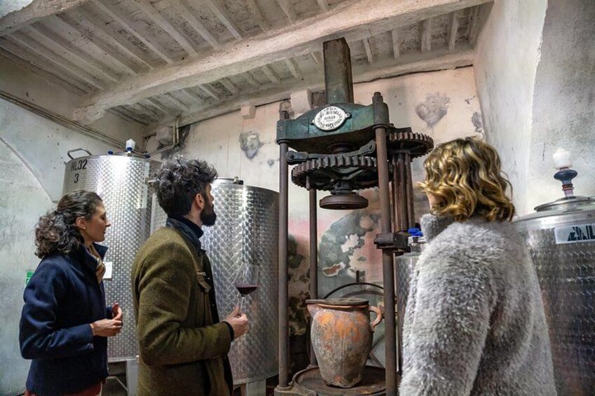 Lucca: Wine and Oil Tasting 5