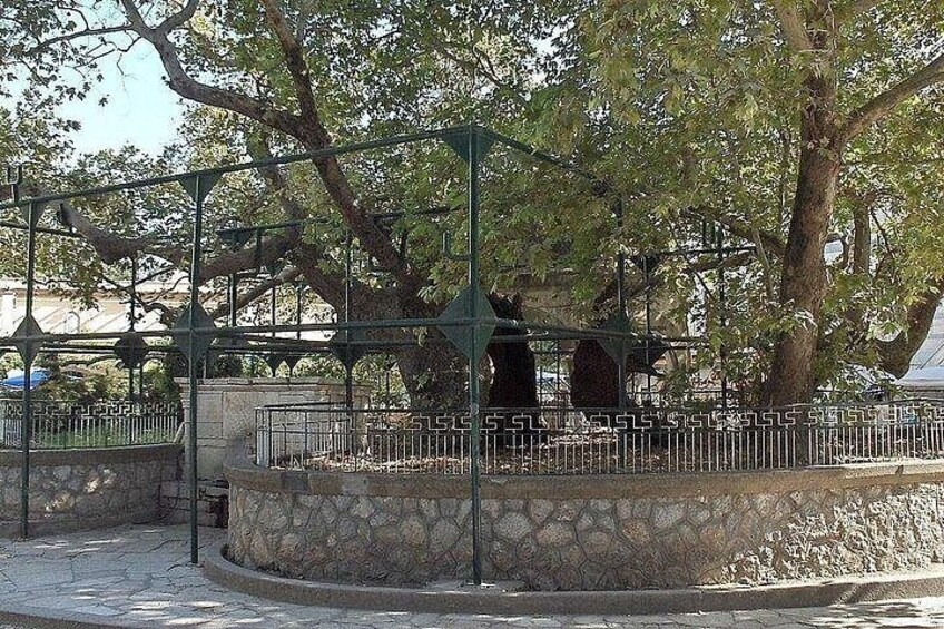 Bodrum-kos 5