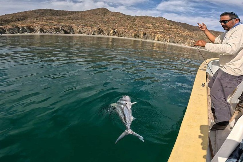 A man fishing on a boat with a shark swimming nearby. 4