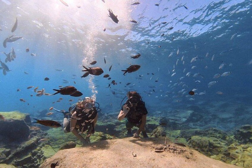 Two scuba divers underwater with a school of fish around them. 5