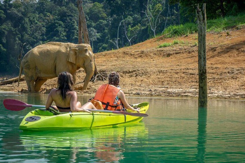 Deux personnes pratiquent le kayak sur une rivière paisible, avec un éléphant en arrière-plan. 2