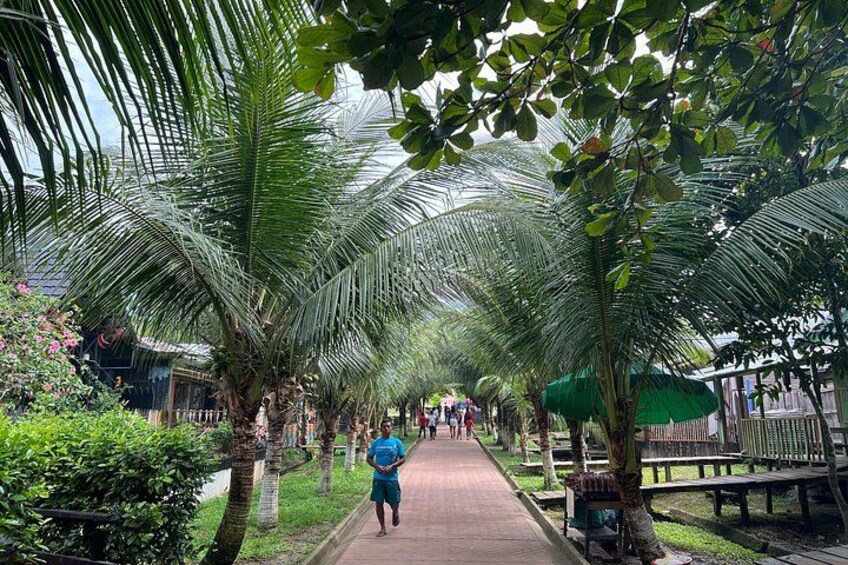3 Hour Leticia and Tabatinga City Tour 3