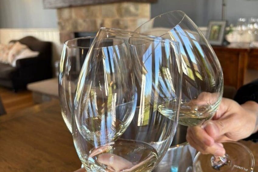 A person holding three wine glasses. 2
