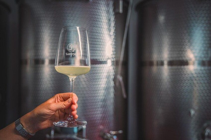 Guided Tour and Tasting Among the Vines of Lake Ledro 5
