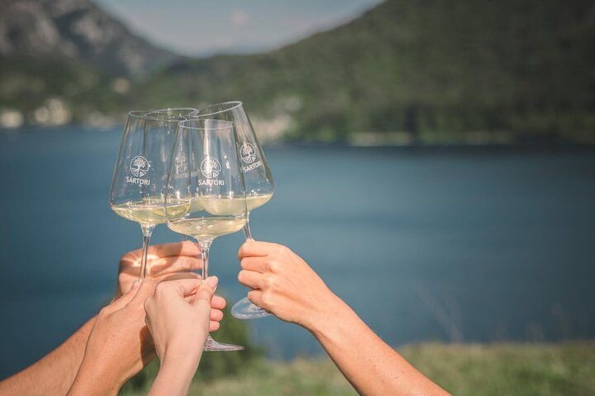 Guided Tour and Tasting Among the Vines of Lake Ledro 2