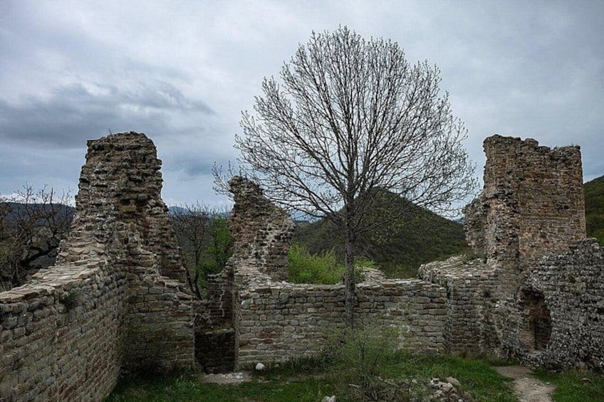 Shared Kakheti Wine and Culture Tour 4