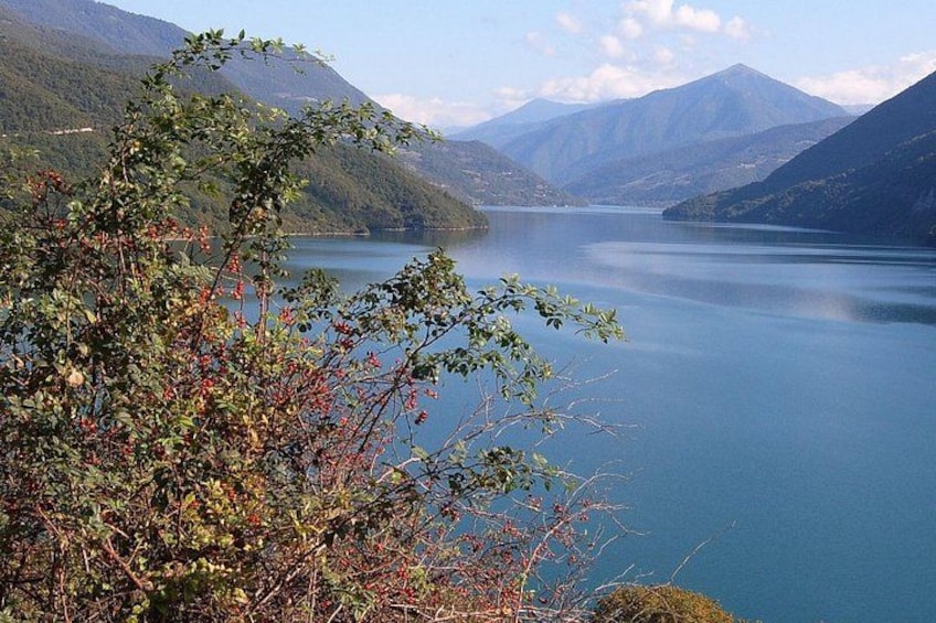 Un lago sereno rodeado de montañas, con vegetación densa en primer plano. 4