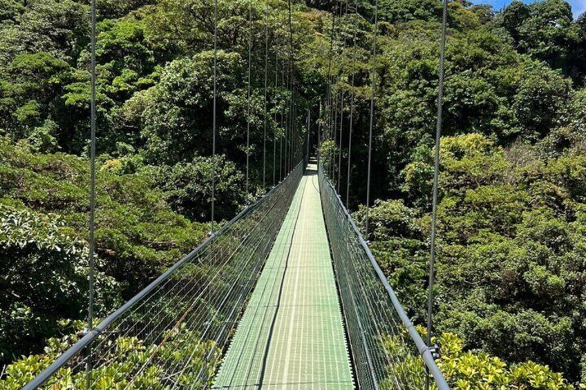 Skywalk & Beans with a sweet taste, Monteverde Experience 2