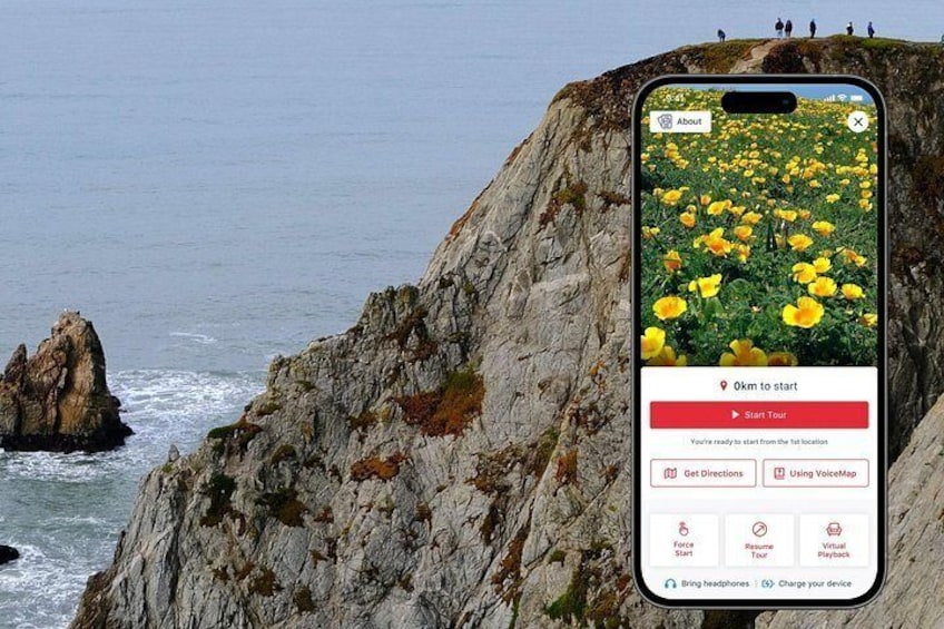 A Self-Guided Audio Tour Around Bodega Head 4