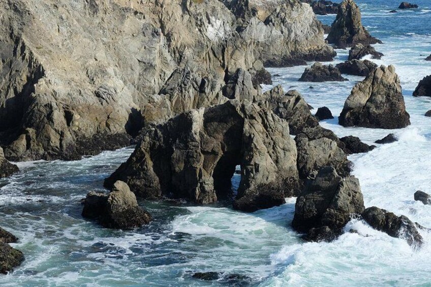 A Self-Guided Audio Tour Around Bodega Head 5