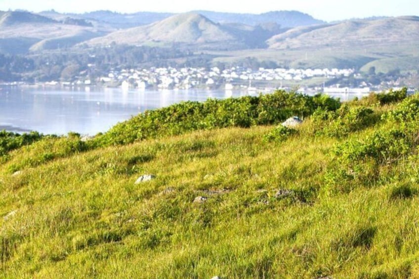 A Self-Guided Audio Tour Around Bodega Head 3