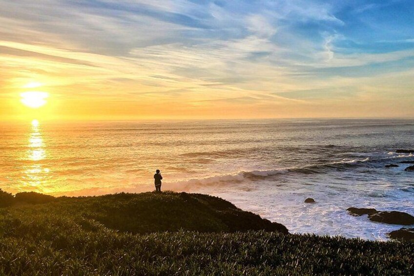 A Self-Guided Audio Tour Around Bodega Head 2