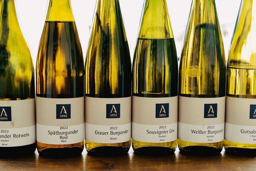Mosel Organic Wine Tasting and Cellar Tour in Reil 4