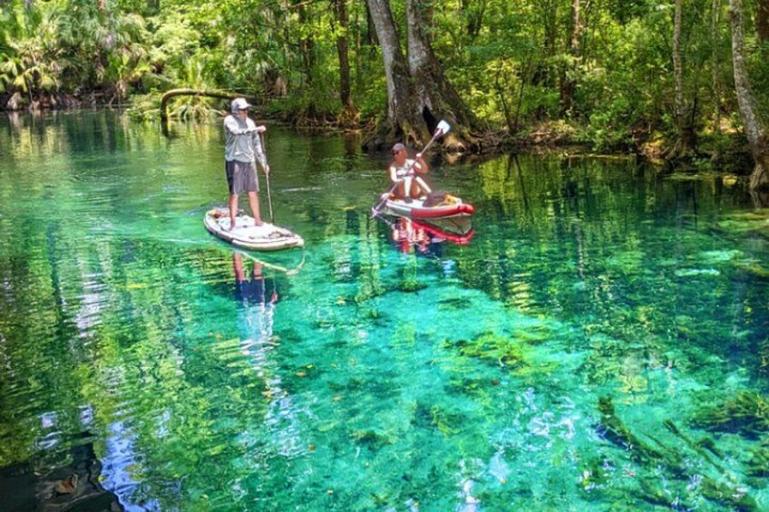 Silver Springs Jungle Kayaking and Paddleboarding 2